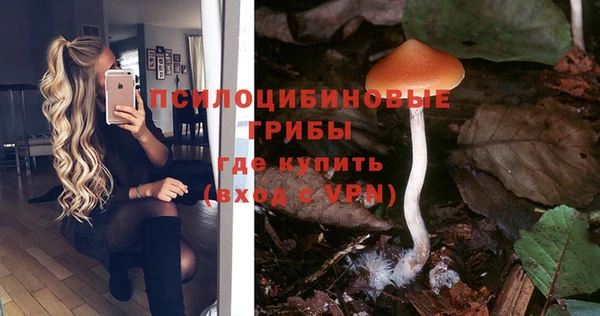 jwh Костерёво